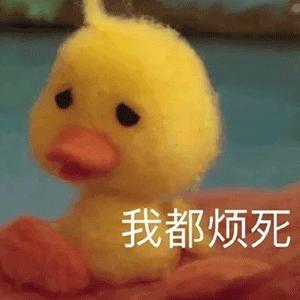 DƬ